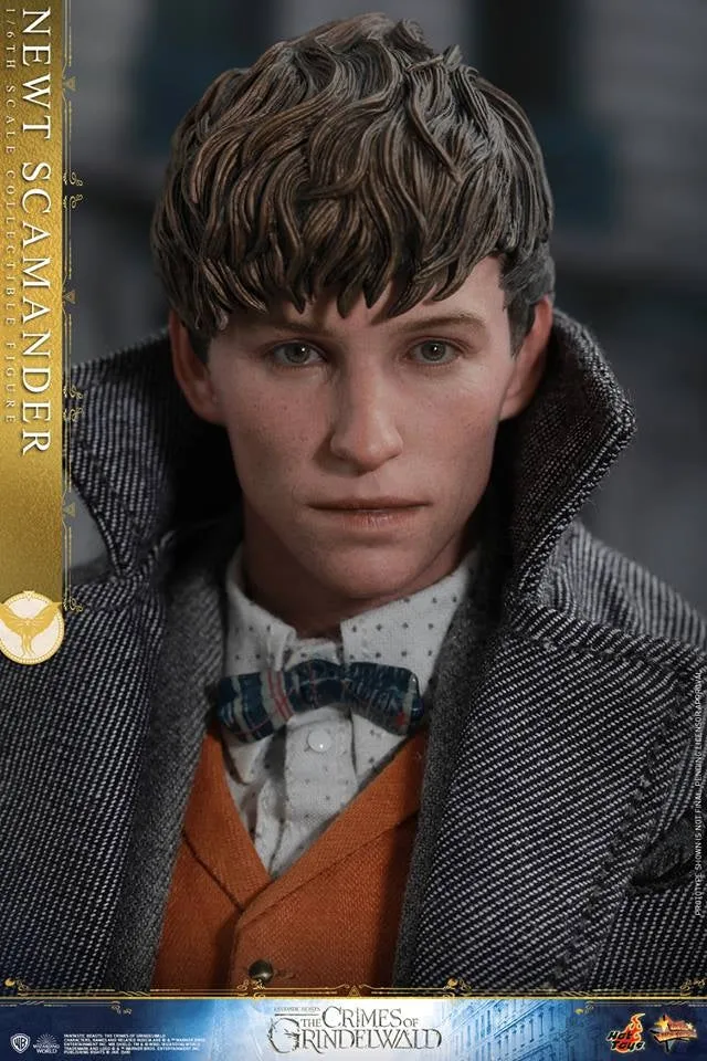 Hot Toys - MMS512 - Fantastic Beasts: The Crimes of Grindelwald - 1/6th scale Newt Scamander Collectible Figure