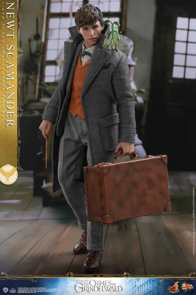 Hot Toys - MMS512 - Fantastic Beasts: The Crimes of Grindelwald - 1/6th scale Newt Scamander Collectible Figure