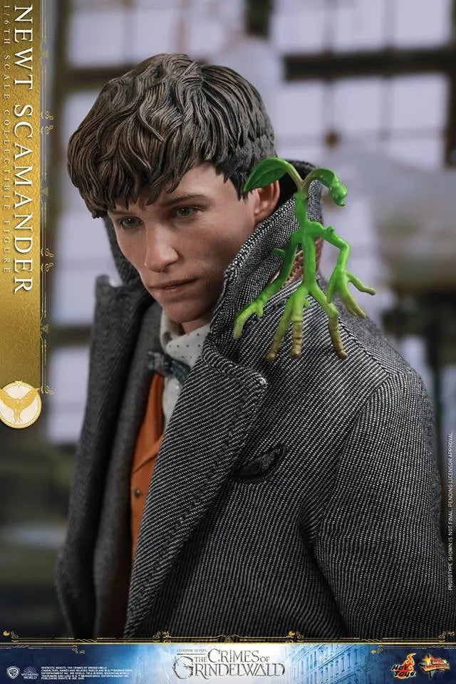 Hot Toys - MMS512 - Fantastic Beasts: The Crimes of Grindelwald - 1/6th scale Newt Scamander Collectible Figure
