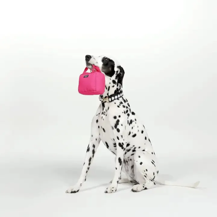 Kate Spade Pink Handbag Toy